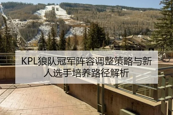 lang-dui-guan-jun-zhen-rong-tiao-zheng-ce-lve-yu-xin-ren-xuan-shou-pei-yang-lu-jing-jie-xi-3-727.jpg