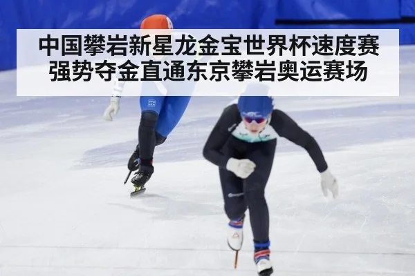 中国攀岩新星龙金宝世界杯速度赛强势夺金直通东京攀岩奥运赛场